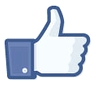 Facebook allowed companies to place the "like" button on any page on their website. 